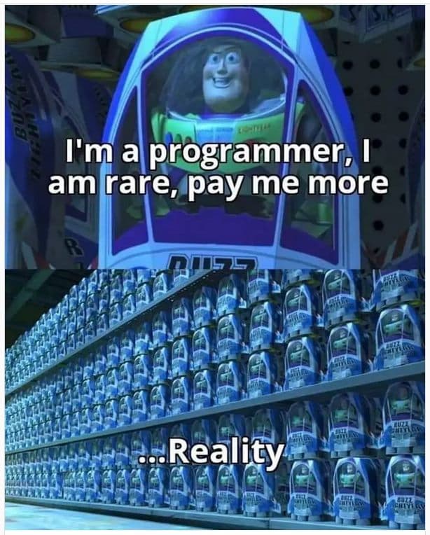 Mem przedstawiający realia programistów na rynku pracy